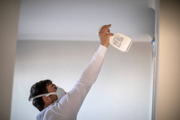 Best Mold Remediation  in Canton, MO
