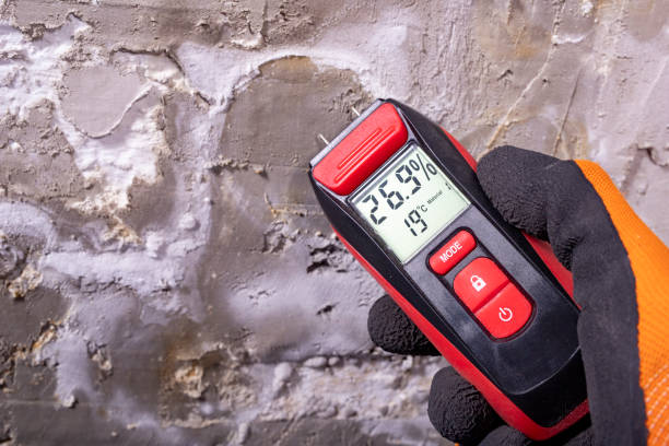 Best Professional Mold Removal  in Canton, MO