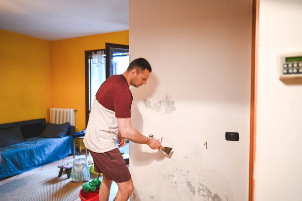 Best Attic Mold Removal  in Canton, MO